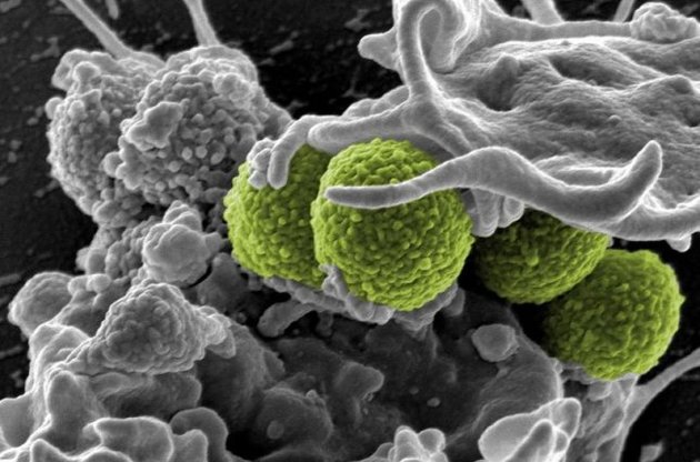 Вчені виявили потужний антибіотик всередині організму людини