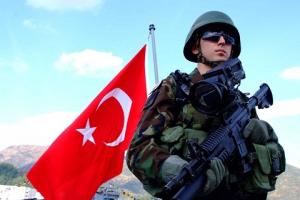 Турецкие военнослужащие попросили политического убежища в Германии