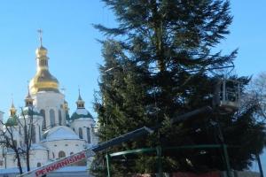 В Киеве начали украшать главную елку страны