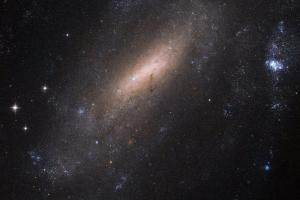 "Хаббл" зробив знімок галактик із сузір'я Журавля