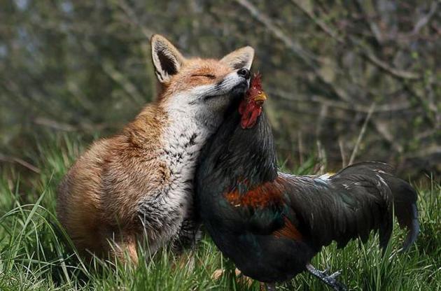 Фото: Сергій Плиткевич