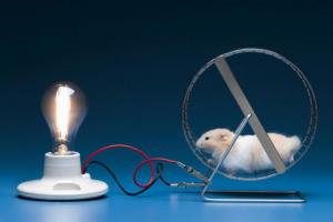 Рік, якого не було