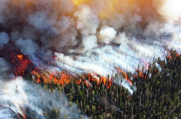 В Чили разбушевались лесные пожары