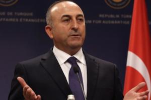 Турция раскритиковала позицию США по сирийскому вопросу