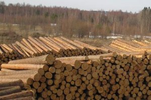 ЄС продовжує виступати за скасування заборони на експорт українського лісу