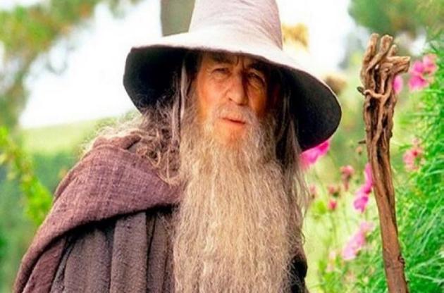 Зовнішня оболонка амеби нагадує капелюх Гендальфа