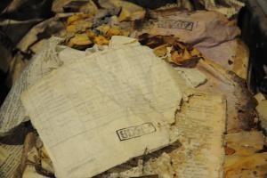 Обнаружен тайник с архивами ОУН в Тернопольской области