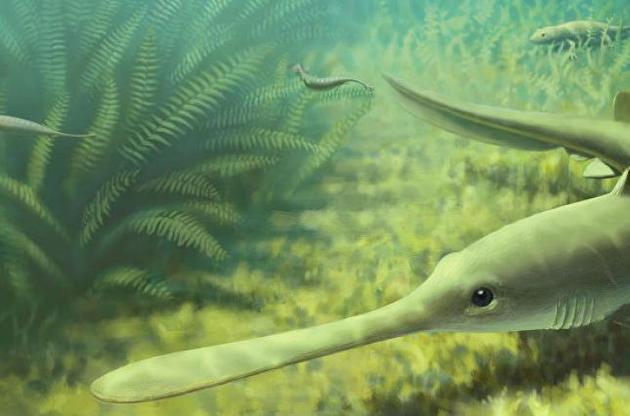 "Монстр Туллі" міг бути безхребетною твариною