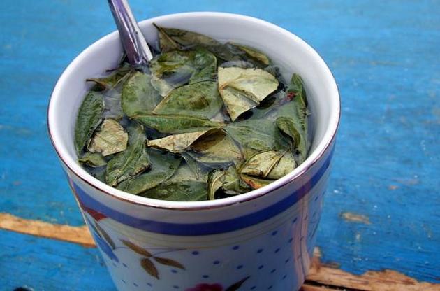 У Болівії люблять чай з коки