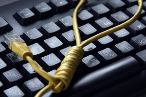 Біле братство синього кита