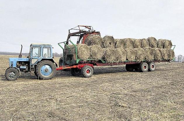 Так выглядит собранная конопля