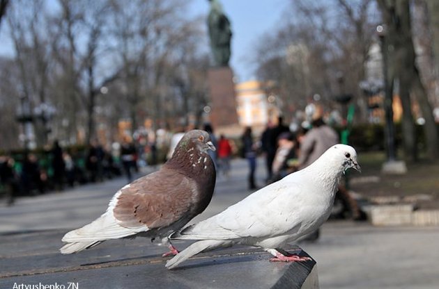 В Україні буде прохолодно, але не холодно