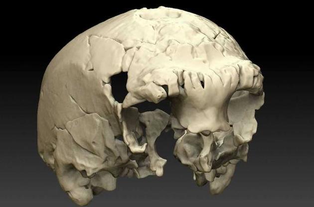 Вік черепа оцінюється приблизно в 400 тисяч років