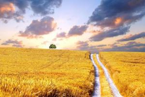 Україна: ескізи образу майбутнього