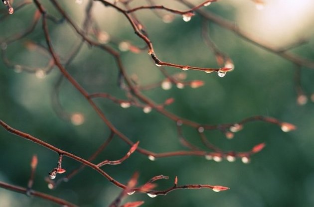 У Києві В середу без опадів