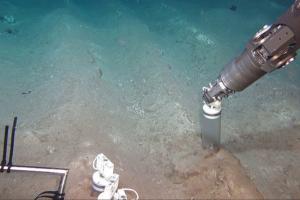 Вчені знайшли нову небезпеку для життя в океані