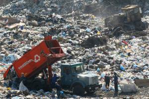 Как решить проблему мусора и нелегальных свалок: рекомендации Госэкоинспекции