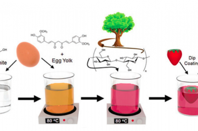 Бікомпозит може продовжити термін придатності фруктів на тиждень