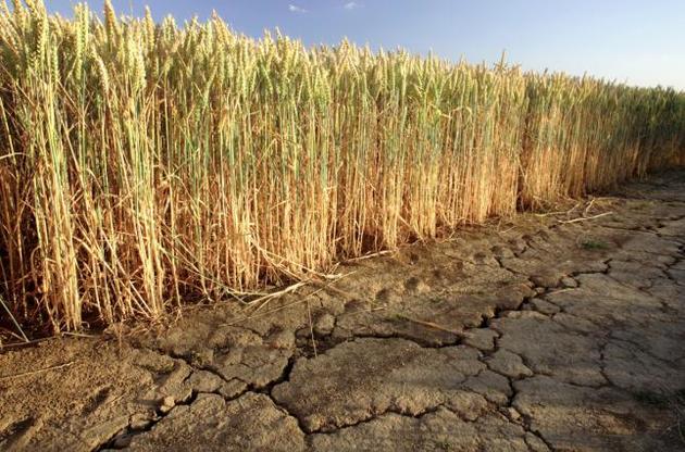 Посуха на Одещині може стати рекордною за останні 70 років