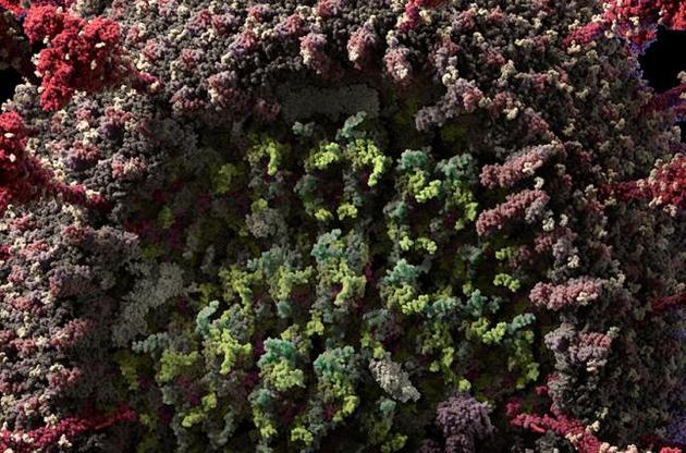 Студія Visual Science створила найдетальнішу модель коронавірусу