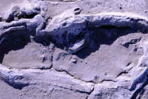Вчені знайшли біля вулкану в Африці древні сліди людей