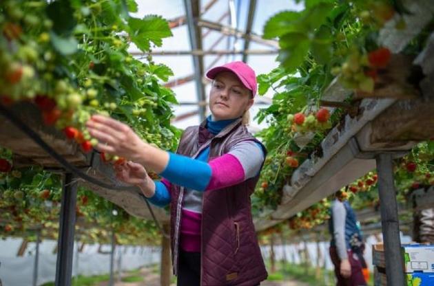 Заробитчанам в Польше не придется отбывать двухнедельный карантин