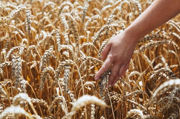 В Украине повесился второй фермер из-за потери урожая
