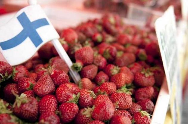 Президенти України і Фінляндії обговорили співробітництво у сфері трудової міграції