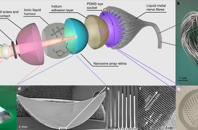 В будущем глаз сможет видеть лучше, чем настоящий