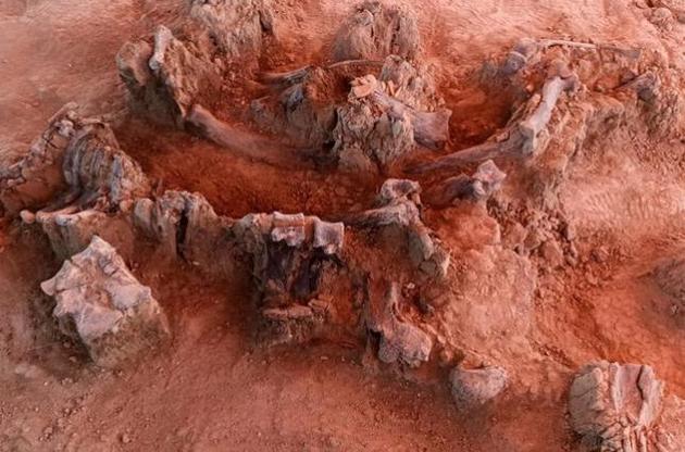 Вчені вважають, що мамонти застрягли в багнюці болота