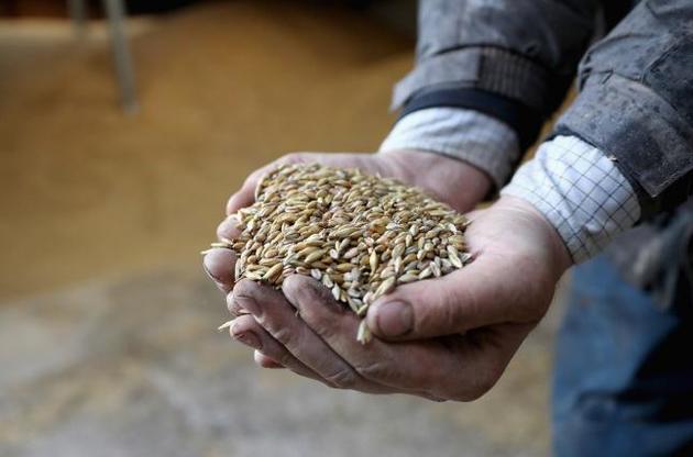 Украина исчерпала квоты на экспорт пшеницы за рубеж