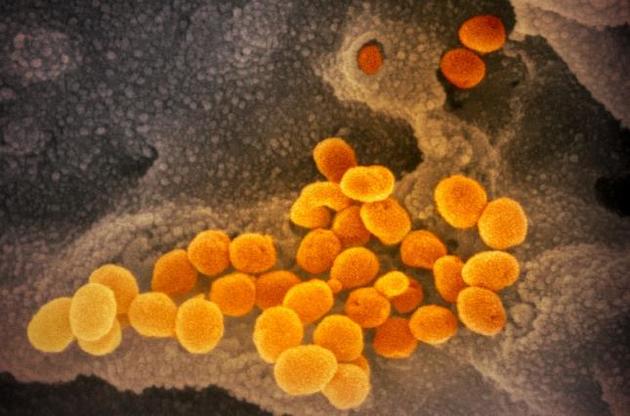 ВОЗ назвала новый эпицентр пандемии коронавируса