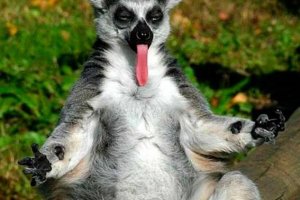 Інтелігенція, або Кілька слів 