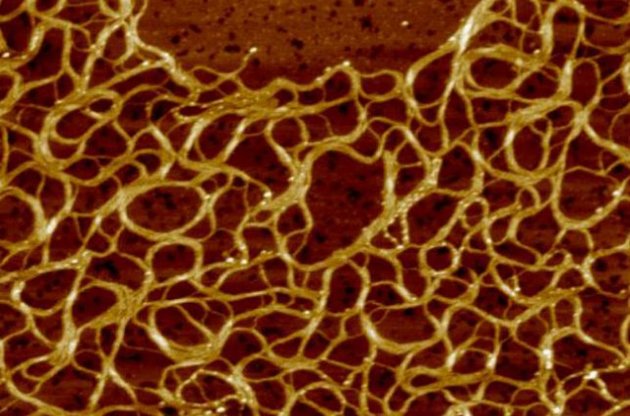 Структура полімерних ниток &quot;супергеля&quot;