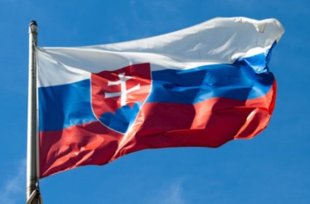 В Грузии сожгли словацкий флаг, перепутав с российским