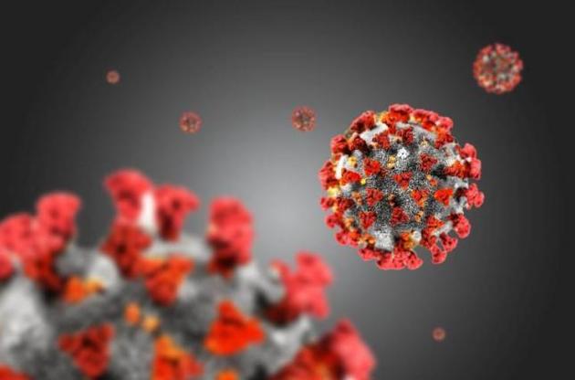 Израильские биологи получили антитела к коронавирусу