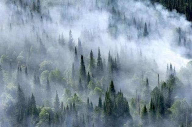 В Сибири не утихают лесные пожары