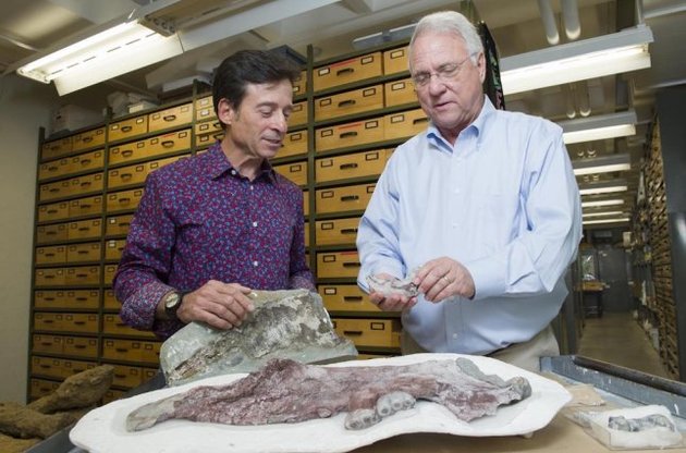 Знайдені скам'янілості належать чотирьом особам, у тому числі дитинчаті