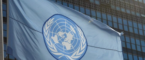 Понад 950 співробітників ООН заразилися COVID-19