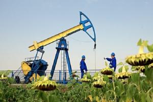 Что препятствует развитию газодобычи в Украине