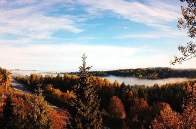 Близько половини суходолу знаходиться під слабким впливом людини