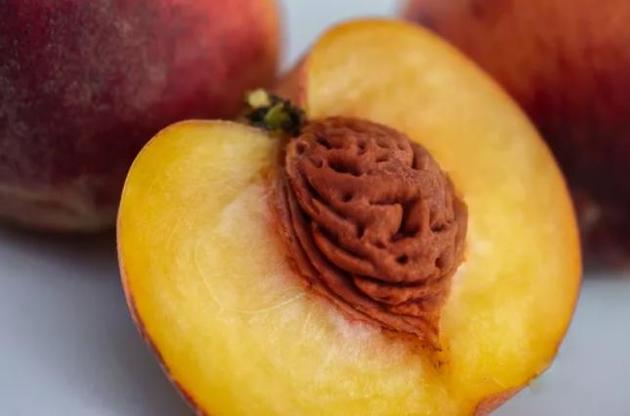 Штучний ніс зміг визначити стиглість персиків