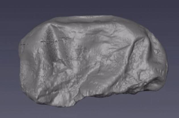 М&#039;яке яйце належало гігантському хижому динозавра