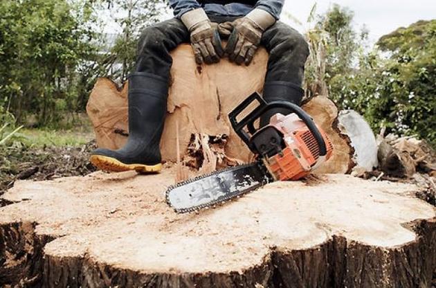 Стульчики из бука от IKEA изготавливают из украинской древесины