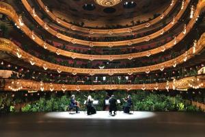 Барселонська опера влаштувала концерт для рослин – фото