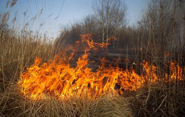 На фоне паводков: в Украине объявили чрезвычайный уровень пожарной опасности