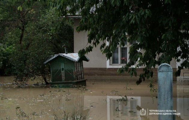 Руйнівні повені в Україні: США виділили допомогу — 100 тис. доларів 