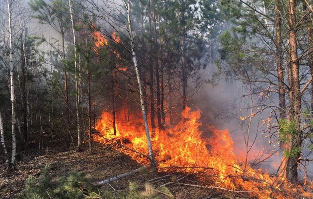 ДСНС оголосила надзвичайний рівень пожежної небезпеки в Україні 