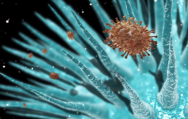  Вчені знайшли новий штам вірусу грипу