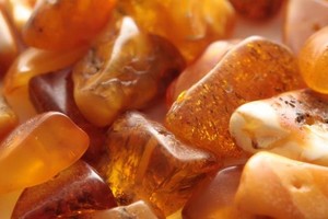 В Житомирской области обнаружили более 9 тонн незаконно добытого янтаря